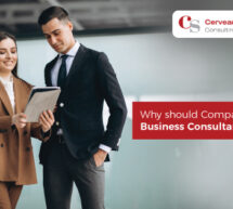 Why Should Companies Hire a Business Consultant?